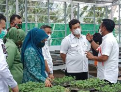 Green House Dinas Ketapang Diresmikan, Inovasi Kadis Asman Jaga Ketahanan Pangan