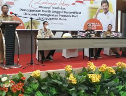 Kadis TPHP Bone Klaim Program IP400 Bisa Dongkrak Pendapatan Petani Hingga Rp60 Miliar Per Tahun