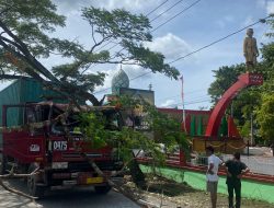 Kontainer Tertimpa Pohon di Jalan MT Haryono, Begini Nasih Supirnya