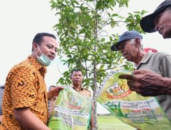 Gubernur Sulsel Tinjau Sawah Di Bulukumba yang Tanam ‘Mandiri Benih’ di Lahan Pertanian Warga