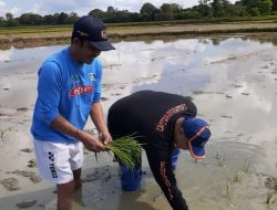 Berbaur Bersama Petani Bercocok Tanam, AHB Minta Ketersediaan Pupuk Dijaga