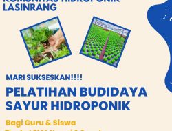 Cabang Dinas Wilayah VIII Sulsel Gandeng Komunitas Beri Edukasi dan Praktek Tanaman Sayur Hidroponik bagi SMA Sekabupaten Pinrang  