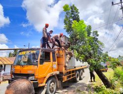 Danyon C Pelopor Kerahkan Personel Brimob Evakuasi Truk Kontainer Tertimpa Pohon