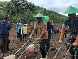 Kadis Asman Tembus Desa Lamoncong Bontocani, Tanaman Jagung Perdana Hingga Prioritaskan Bantuan Untuk Poktan