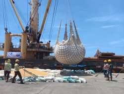 Perdana di Tahun 2023, 6.150 Jagung Sulsel Diekspor ke Filipina Senilai Rp 30,43 M