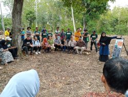 Dua Desa di Dua Boccoe Jadi Pilot Project, Icraft Bantu Petani Tingkatkan Produktivitas Pertanian
