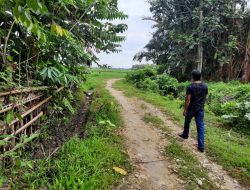 Proyek Jalan Tani di Corawali Bermasalah, Kuras Rp115 J Dana Desa, Tetapi Tak Ada Pengerjaan Talud