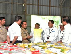 Tinjau Gudang Bulog, Presiden Jokowi: Beras Sulsel Banyak Diserap Provinsi Lain