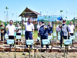 Di Era Gubernur Andi Sudirman, Masif Dilakukan Penanaman Mangrove di Wilayah Pesisir Sulsel