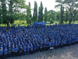 Pemprov Sulsel Buka Seleksi 3.745 Kuota Formasi PPPK