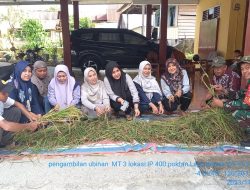 Bone Ajaib, Kemarau Panjang Petani Tetap Produksi Gabah 10 Ton Perhektar