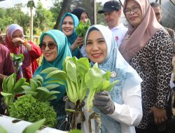 Sofha Marwah Bahtiar Panen Sayuran dan Beri Bantuan PMT untuk Anak Stunting dan Ibu Hamil KEK di Luwu Timur