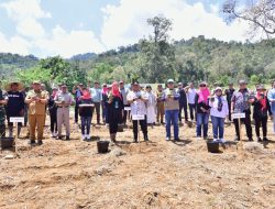 Pemkot Palopo Siapkan 48 Hektar Lahan untuk Budidaya Pisang