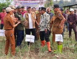 Produksi Bawang Merah Berkurang Karena El Nino, Pemprov Sulsel Bakal Bantu Sumur Bor untuk Petani Enrekang