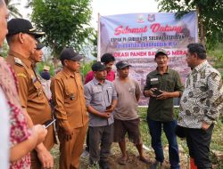 Produksi Bawang Merah Berkurang Karena El Nino, Pemprov Sulsel Bakal Bantu Sumur Bor untuk Petani Enrekang