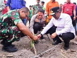 Pemkab Sidrap Siapkan 1.500 Hektar Lahan untuk Budidaya Pisang
