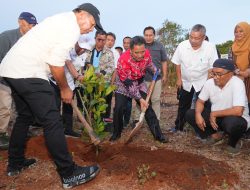 Penanaman Bibit Nangka Madu di Bulukumba, Pj Gubernur Bahtiar: Jangan Biarkan Lahan Kosong