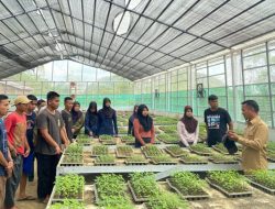 Kunjungi Green House Skala Besar Lampoko, Kadis Asman: Ayo Tingkatkan Produksi Pangan