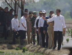 Mentan Amran  Dampingi Presiden Jokowi Temui Petani di Pekalongan