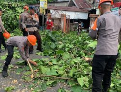 Respon Cepat Tim SAR Brimob Bone Evakuasi Pohon Tumbang Di Jalan Poros Bajoe