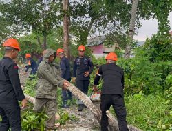 Tim SAR Brimob Bone Evakuasi Pohon Tumbang di Jalan Poros Cempalagi dan Jalan Gunung Kinabalu Bone