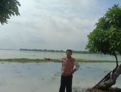 Jaga Produksi 2024, Kementan Gercep Tangani Lahan Terdampak Banjir
