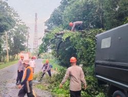 Respon Cepat Tim SAR Brimob Bone Evakuasi Pohon Tumbang Di Jalan Poros Bone-Makassar