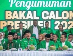 Sebut Ada Beberapa Kabupaten Di Papua Tak Diplenokan, PPP Bakal Ajukan Gugatan ke MK