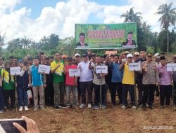 Di Bone Selatan, Kadis Asman Target Sentra Jagung Hibrida