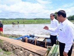Presiden Tinjau Pompanisasi di Bone, Petani Bersyukur Terhindar Kekeringan