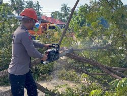 Evakuasi Pohon Lapuk Di Depan Kampus Uniasman, Danyon Ichsan; Wujud Sinergitas Brimob Bone