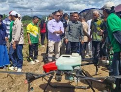 Temu Lapang Teknologi Kemitraan di Patimpeng, Kadis A Asman: Manfaatkan Teknologi Tingkatkan Produksi