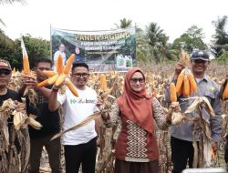 Bupati IDP Ajak Petani Gunakan Pupuk Organik
