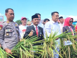 Panen Serentak Kemerdekaan, Pj Bupati Apresiasi Kinerja Dinas TPHP