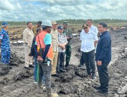 Mentan Amran: Pertanian Merauke Langkah Nyata Menuju Lumbung Pangan Dunia