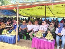 Pesta Panen di Mattiro Deceng, Andi Asman Jadi Tamu Special