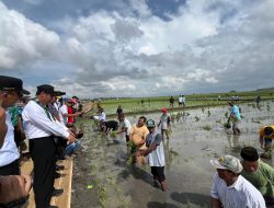 Menteri Peduli Petani, Mentan Amran Bagikan Bantuan Alsintan dan Bibit Jagung saat Kunker di Bone