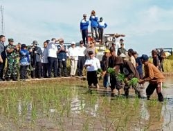 Di Gowa, Mentan Amran bersama Kabaharkam Polri Tanam Perdana di Lahan 300 Ha