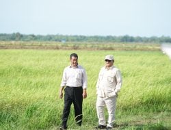 Mentan Amran Dampingi Presiden Prabowo Kunjungan Perdana ke Lahan Pertanian Merauke