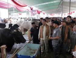 Mentan Amran Respons Cepat Keluhan Peternak Lampung soal Harga Daging Sapi