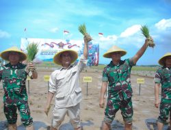 Duet Anak Serka dan Anak Serma Gerak Cepat Wujudkan Swasembada Pangan