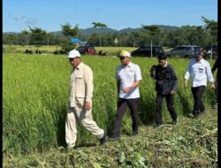 Mentan Amran Menelusuri Jaringan Irigasi di Konawe Demi Swasembada