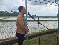 Dukung Swasembada Pangan, Bulog Bone Siap Beli Beras dan Gabah Produksi Petani