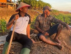 Anggaran Pupuk Naik Jadi 9,55 Juta Ton, Bupati Bone Terpilih: Kabar Baik Mentan Amran Untuk Petani Kita