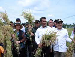 Ketua Komisi IV DPR RI Apresiasi Kinerja Mentan Amran Atasi Banjir Kabupaten Bantul Secara Cepat