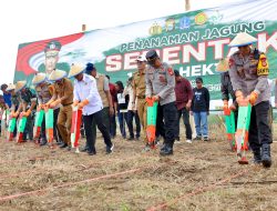 Tanam Jagung Serentak di Bolli, Bupati Bone Terpilih: Bone Siap Terdepan Wujudkan Swasembada Nasional