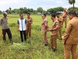 Wujudkan Swasembada Pangan, Bupati Bone Terpilih Terpanggil Manfaatkan Lahan Tidur di Awangpone