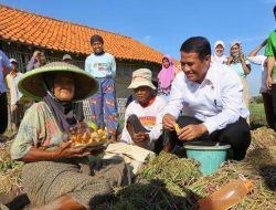 Survei LSI, Masyarakat Sangat Puas dengan Kinerja Mentan Amran