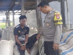 Pencuri Gabah di Bone Ditangkap, Polisi Imbau Masyarakat Tingkatkan Kewaspadaan