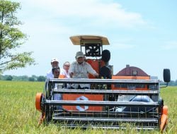 Mentan Amran, “Sentuhan Ajaib” Presiden Prabowo Hentikan Impor Beras